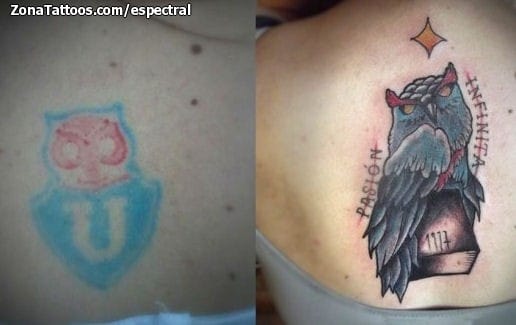 Foto de tatuaje Lechuzas, Aves, Fútbol