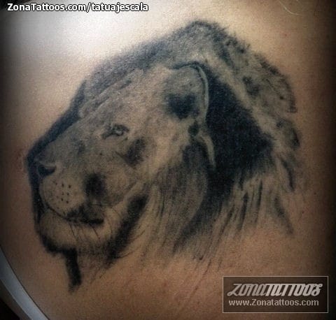 Tattoo photo Lions, Animals