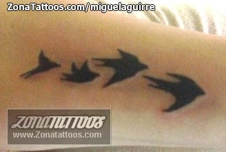 Foto de tatuaje Aves, Siluetas, Animales