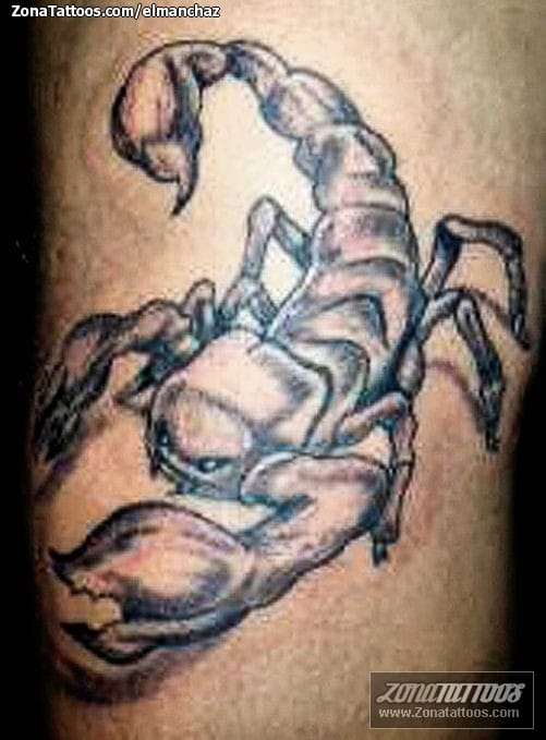 Tattoo photo Scorpions