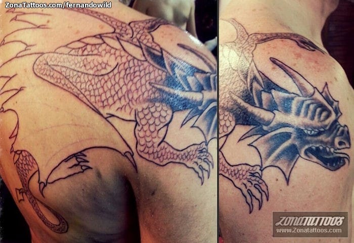 Foto de tatuaje Dragones, Fantasía, Espalda