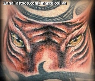 Foto de tatuaje Tigres, Animales