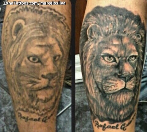 Foto de tatuaje Leones, Animales