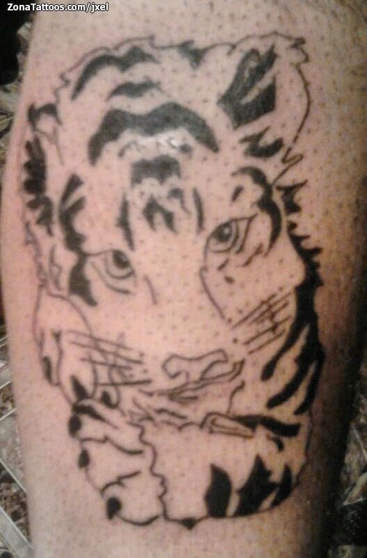 Foto de tatuaje Tigres, Animales