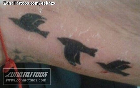 Foto de tatuaje Aves, Siluetas, Animales