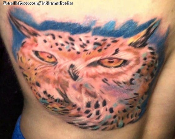 Foto de tatuaje Búhos, Aves, Animales