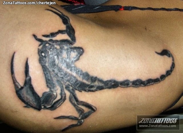 Tattoo photo Scorpions