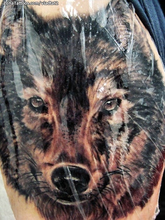 Tattoo photo Wolfs, Animals