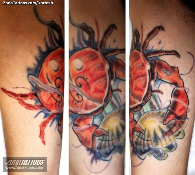 Tattoo photo Crabs, Jellyfish, Animals