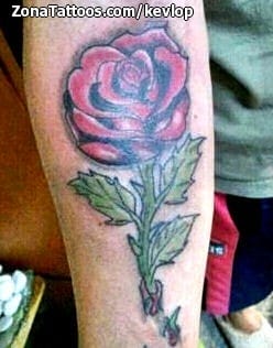 Tattoo photo Roses, Flowers