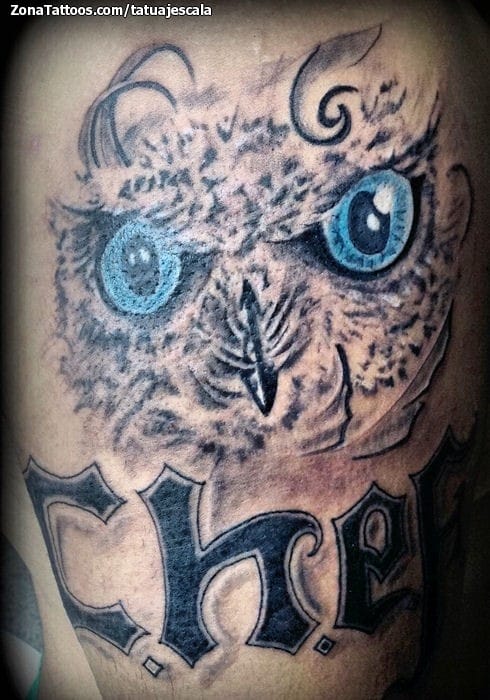 Tattoo photo Owls, Birds, Letters