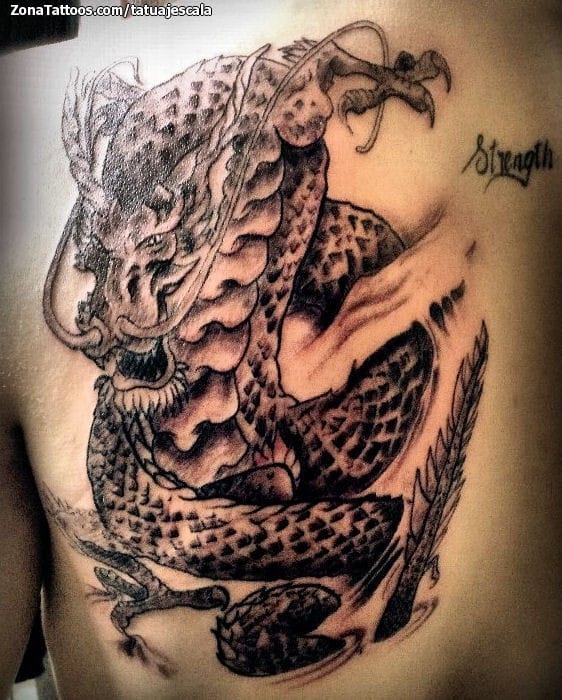 Foto de tatuaje Dragones, Orientales, Espalda