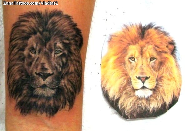 Tattoo photo Lions, Animals