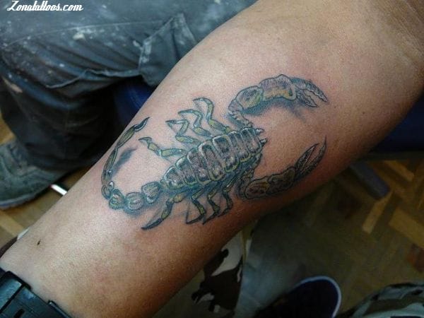 Tattoo photo Scorpions, Insects