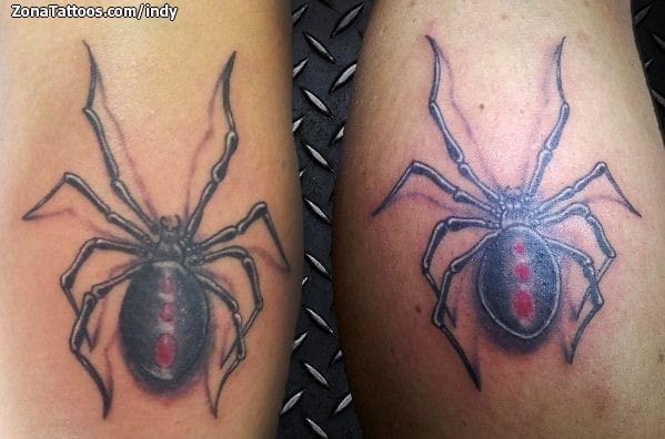 Foto de tatuaje Arañas, Insectos