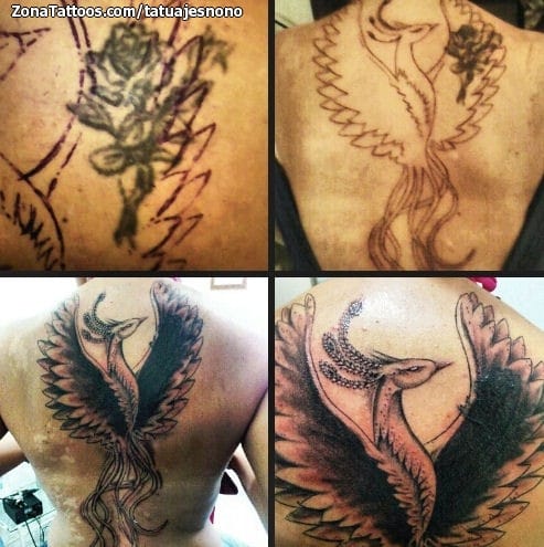 Tattoo photo Phoenix, Fantasy, Cover Up