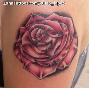 Tattoo photo Roses, Flowers