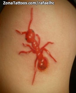 Tattoo photo Ants, Insects