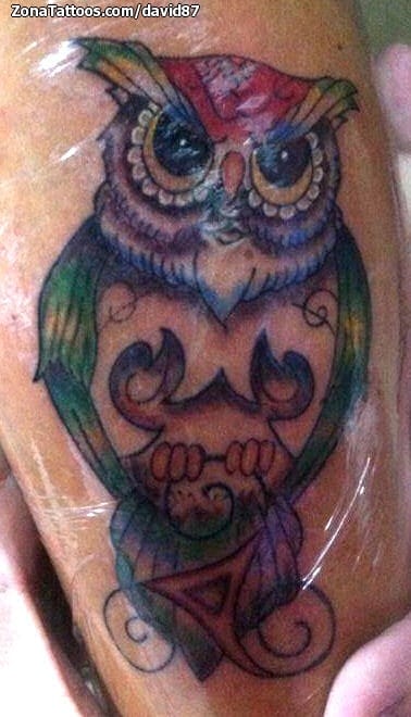 Tattoo photo Owls, Birds, Animals