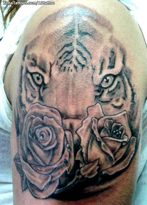 Tattoo photo Tigers, Roses, Flowers