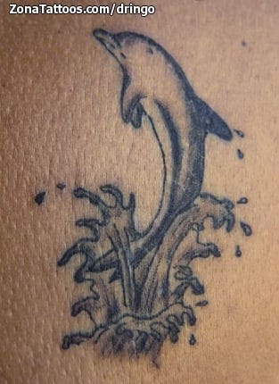 Tattoo photo Dolphins, Animals