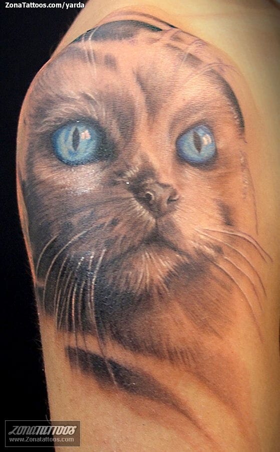 Foto de tatuaje Gatos, Animales