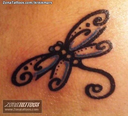 Tattoo photo Dragonflies, Insects