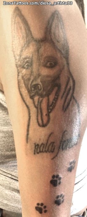 Foto de tatuaje Perros, Huellas, Animales