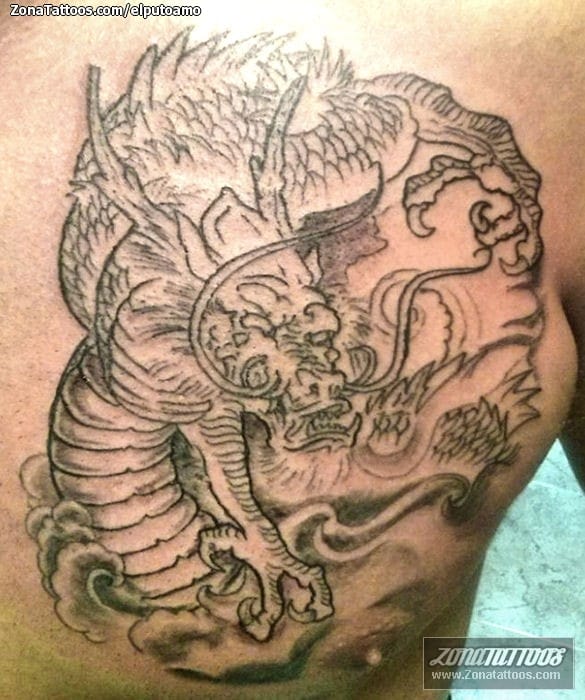 Tattoo photo Dragons, Asian, Chest