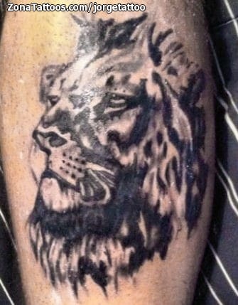 Foto de tatuaje Leones, Animales