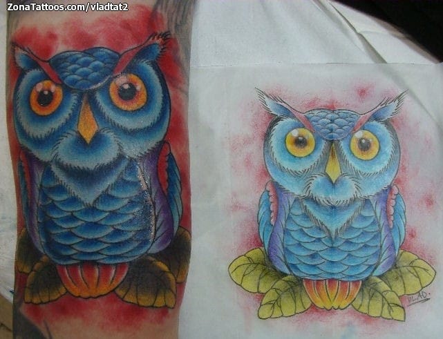 Tattoo photo Owls, Birds, Animals