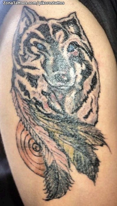 Tattoo photo Wolfs, Animals, Feathers