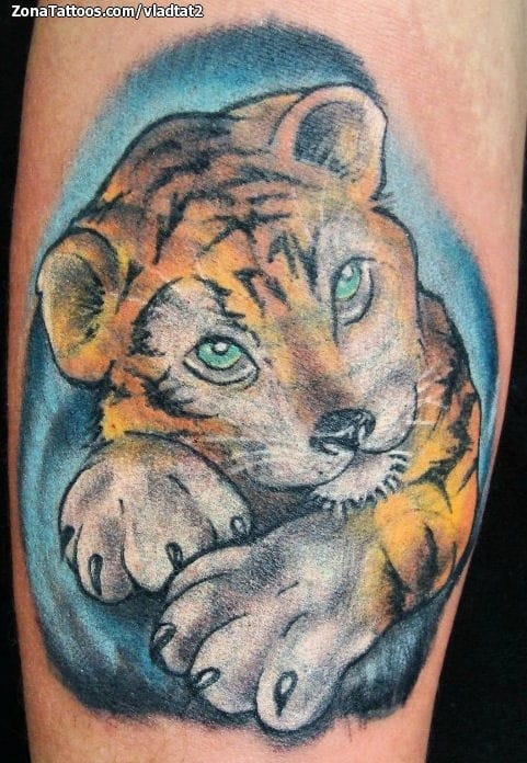 Foto de tatuaje Tigres, Animales