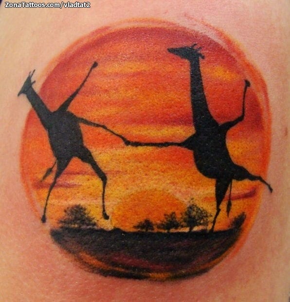 Foto de tatuaje Jirafas, Animales, Paisajes