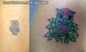 Tattoo photo Owls, Birds, Cover Up