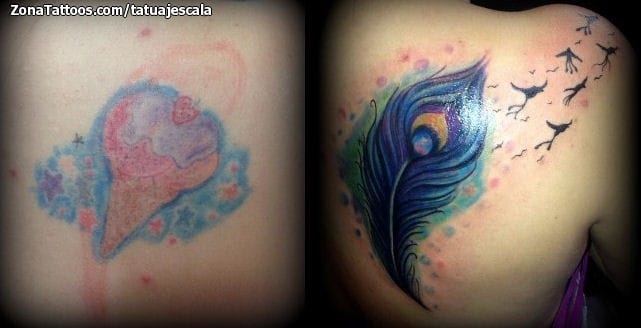 Foto de tatuaje Plumas, Aves, Cover Up