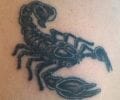 Tatuaje de insano22