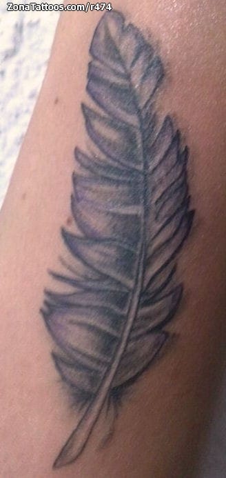 Foto de tatuaje Plumas