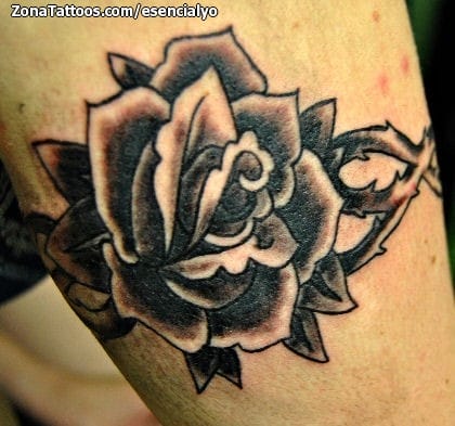 Tattoo photo Roses, Old School, Flowers