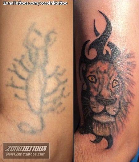 Foto de tatuaje Leones, Tribales, Animales