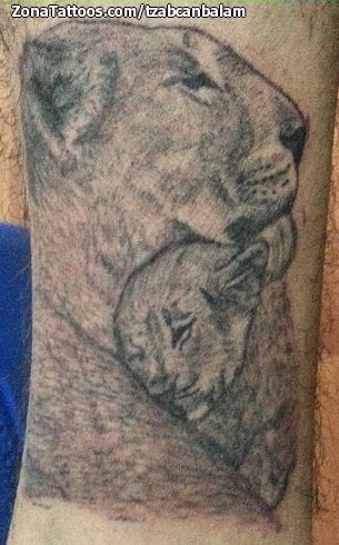 Tattoo photo Lions, Animals