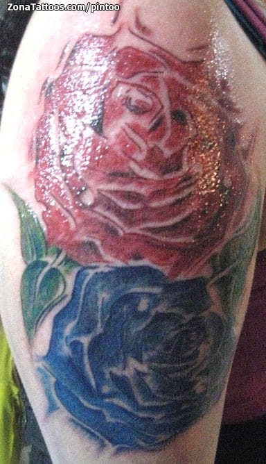 Tattoo photo Roses, Flowers, Arm