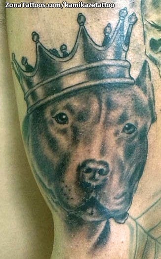 Tattoo of Dogs, Crowns, Animals