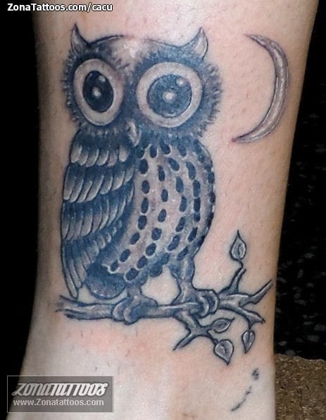 Foto de tatuaje Búhos, Aves, Animales