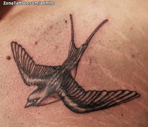 Foto de tatuaje Golondrinas, Aves, Animales