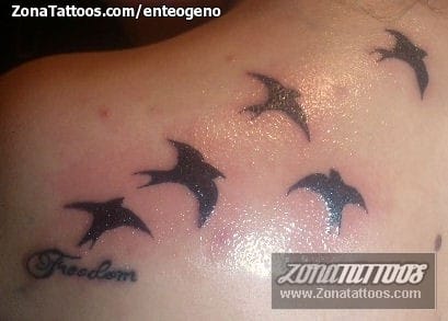 Foto de tatuaje Aves, Siluetas, Animales