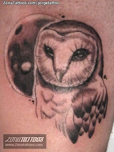 Tattoo photo Owls, Birds, Animals