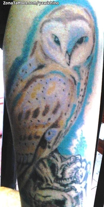 Tattoo photo Owls, Birds, Animals