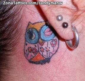 Tattoo photo Owls, Birds, Animals