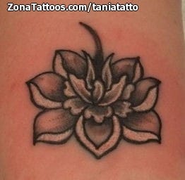 Foto de tatuaje Lotos, Flores